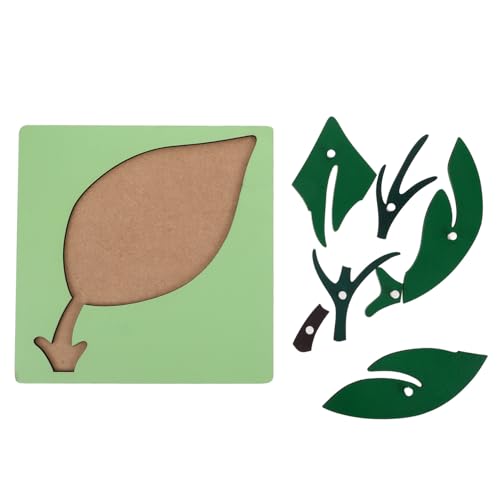 GALPADA Montessori Lernspielzeug Pflanze Holzbrett Frühförderung Denkspielzeug für Kleinkinder Kinderzimmer und Vorschule Geeignet GALPADA Montessori Lernspielzeug Pflanze Holzbrett Frühförderung Denkspielzeug für Kleinkinder Kinderzimmer und Vorschule Geeignet von GALPADA