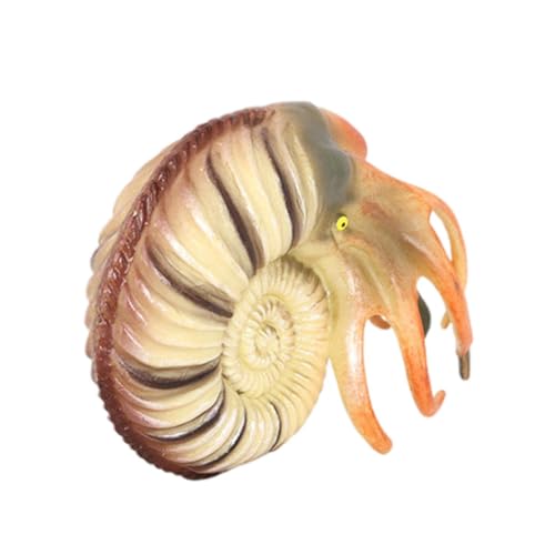 GALPADA Nautilus Modell Realistisches Meeresbewohner für Aquarium und Robustes Langlebiges für Frühe Bildung Lebensechtes Nautilus Design für GALPADA Nautilus Modell Realistisches Meeresbewohner für Aquarium und Robustes Langlebiges für Frühe Bildung Lebensechtes Nautilus Design für von GALPADA
