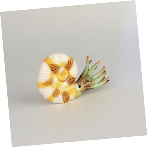 GALPADA Nautilus Modell für Lebensechte Nachbildung als Pädagogisches Meeresbewohner Langlebiges Farbechtes Tabletop Ornament für Aquarium und GALPADA Nautilus Modell für Lebensechte Nachbildung als Pädagogisches Meeresbewohner Langlebiges Farbechtes Tabletop Ornament für Aquarium und von GALPADA