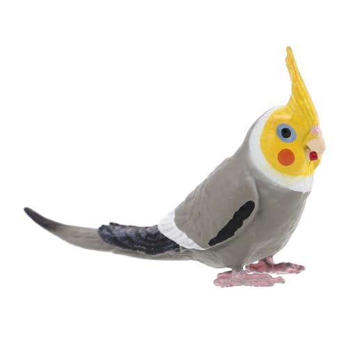 GALPADA Nymphensittich Papagei Modell Realistisches Vogelfigur für Zuhause und Büro Authentisches Ornament mit Detailtreue für Vogelliebhaber Statische GALPADA Nymphensittich Papagei Modell Realistisches Vogelfigur für Zuhause und Büro Authentisches Ornament mit Detailtreue für Vogelliebhaber Statische von GALPADA