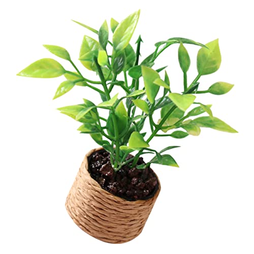 GALPADA Orangenbaummodell Kind winzig Kleine Bonsai Miniatur-Garten-Bonsai-Dekoration Miniatur Blumentopfmodell Mini-Blumentopf Simulierter Miniaturblüder Puppenhaus-Blume Plastik GALPADA Orangenbaummodell Kind winzig Kleine Bonsai Miniatur-Garten-Bonsai-Dekoration Miniatur Blumentopfmodell Mini-Blumentopf Simulierter Miniaturblüder Puppenhaus-Blume Plastik von GALPADA