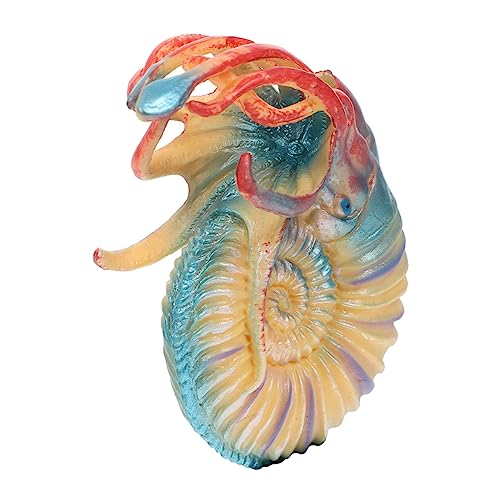 GALPADA Plastik Nautilus Modell Meerestier Figur Realistische Simulation Fein Detailliert Pädagogisch Geeignet Umweltbewusstsein Fördern Meerestiere Ornamente GALPADA Plastik Nautilus Modell Meerestier Figur Realistische Simulation Fein Detailliert Pädagogisch Geeignet Umweltbewusstsein Fördern Meerestiere Ornamente von GALPADA