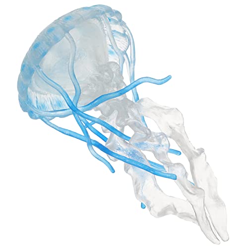 GALPADA Quallenmodell Tierquallenfiguren Quallenspielzeug Für Mini Quallen Lernquallenfigur Wasser Realistische Ozeanquallen Weicher Pädagogischer Kunststoff Himmelblau GALPADA Quallenmodell Tierquallenfiguren Quallenspielzeug Für Mini Quallen Lernquallenfigur Wasser Realistische Ozeanquallen Weicher Pädagogischer Kunststoff Himmelblau von GALPADA