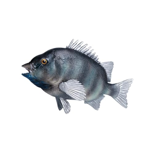 GALPADA Realistisches Fischmodell Kunststoff Meerestier Simulation Lernspielzeug Detailreiche Langlebige Bunte Fischfigur für Vorschule Aquarium Deko und Naturerlebnis von GALPADA