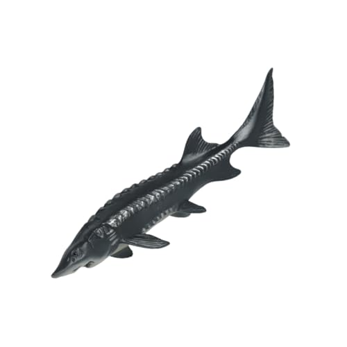 GALPADA Realistisches Fischspielzeug Fischmodell aus Robustem Kunststoff Tierfigur für Frühkindliche Bildung Dekoratives Meereslebewesen für Spiel und Wohnkultur von GALPADA