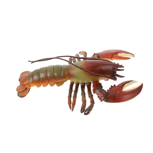 GALPADA Realistisches Lobster Modell Tier Dekorative Meerestiere Figur Wissenschaftliches Lernspielzeug für Sammler GALPADA Realistisches Lobster Modell Tier Dekorative Meerestiere Figur Wissenschaftliches Lernspielzeug für Sammler von GALPADA