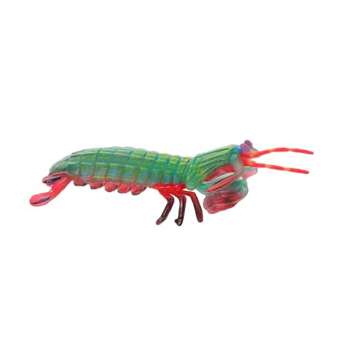 GALPADA Realistisches Mantis Garnelen Modell Kleine Simulation Meerestierfigur Pädagogisches Kognitives Meeres Tier Lernspielzeug für Dekoratives Display GALPADA Realistisches Mantis Garnelen Modell Kleine Simulation Meerestierfigur Pädagogisches Kognitives Meeres Tier Lernspielzeug für Dekoratives Display von GALPADA