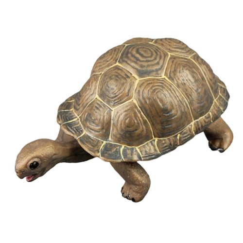 GALPADA Realistisches Plastikschildkrötenmodell Wetterfest Gartendeko Kleines Meeres Tier Tierfigur Kunststoff Schildkröte Naturgetreu für Garten Teich Geschenk GALPADA Realistisches Plastikschildkrötenmodell Wetterfest Gartendeko Kleines Meeres Tier Tierfigur Kunststoff Schildkröte Naturgetreu für Garten Teich Geschenk von GALPADA