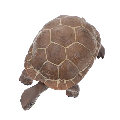 GALPADA Realistisches Solides Plastik schildkrötenmodell Langlebiges Meeres tierspielzeug mit Feiner Verarbeitung Detailgetreues Dekorationsobjekt und Pädagogisches Wissenschaftsspielzeug GALPADA Realistisches Solides Plastik schildkrötenmodell Langlebiges Meeres tierspielzeug mit Feiner Verarbeitung Detailgetreues Dekorationsobjekt und Pädagogisches Wissenschaftsspielzeug von GALPADA