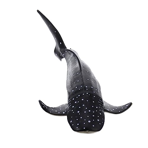GALPADA Realistisches Walhai Modellspielzeug Pädagogisch Meeresbewohner Lernspielzeug Robust Detailgetreu Für Jungen Mädchen Ocean Party Dekoration GALPADA Realistisches Walhai Modellspielzeug Pädagogisch Meeresbewohner Lernspielzeug Robust Detailgetreu Für Jungen Mädchen Ocean Party Dekoration von GALPADA