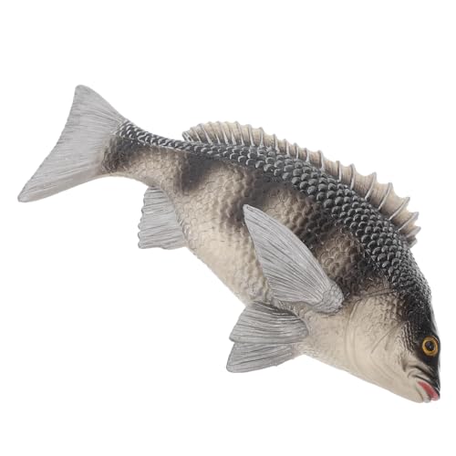 GALPADA Simulation Fischfigur Für Kognitives Für Lernen Für Zuhause Schule Und Park Hochwertige Verarbeitung Leicht Und Tragbar Perfektes von GALPADA