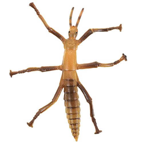 GALPADA Stickwurmmodellspielzeug Fehler für realistisches Kinderspielzeug Lernspielzeug realistisches insektenspielzeug interessantes Kinderspielzeug Stockspielzeug Plastik GALPADA Stickwurmmodellspielzeug Fehler für realistisches Kinderspielzeug Lernspielzeug realistisches insektenspielzeug interessantes Kinderspielzeug Stockspielzeug Plastik von GALPADA