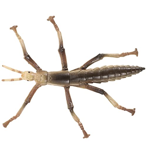 GALPADA Stickwurmmodellspielzeug Insektenspielzeug für tierisches Kinderspielzeug dekoratives Lernspielzeug interessantes Stockinsektenspielzeug Plastik GALPADA Stickwurmmodellspielzeug Insektenspielzeug für tierisches Kinderspielzeug dekoratives Lernspielzeug interessantes Stockinsektenspielzeug Plastik von GALPADA