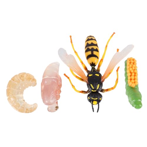 GALPADA Teiliges Wespentier Lebenszyklus Modellspielzeug Pädagogisch für Kognitives Lernspielzeug Naturgetreues Insektenspielzeug Geschenk für Junge GALPADA Teiliges Wespentier Lebenszyklus Modellspielzeug Pädagogisch für Kognitives Lernspielzeug Naturgetreues Insektenspielzeug Geschenk für Junge von GALPADA