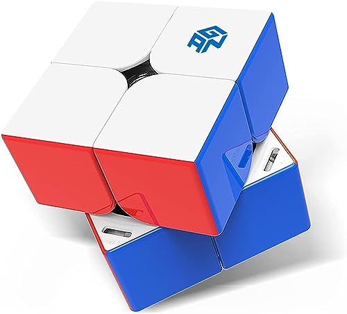 GAN 251 M Leap, 2x2 Magnetischer Speedcube stickerlos 251 Mini Cube 63 Magnete Puzzle Spielzeug für Anfänger:innen (UV-beschichtet Primär Innenleben) von GAN