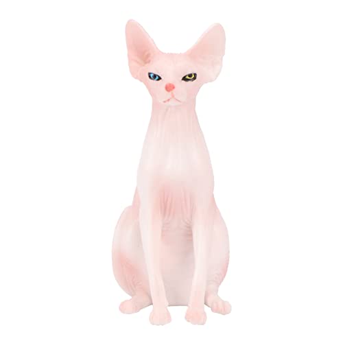GARIOUANS 1 Stück Künstliche Haarlose Dekoration Realistisches Plüschmodell für Zuhause Büro und Auto Vivid Animal Toy Sicheres Material und Schreibtischschmuck von GARIOUANS