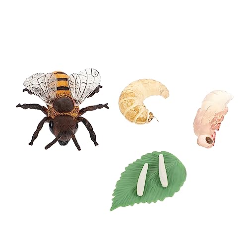 GARIOUANS 1Satz Dekoratives Modell Plastikhonigbiene Lehrreiches Insektenlebenszyklusspielzeug für Naturwissenschaftliche Erkundungen und Kognitive Entwicklung Teiliges von GARIOUANS