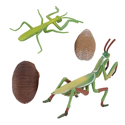 GARIOUANS 1Satz Figur Realistische Tierfiguren für Pädagogisches Kreativität und Lernen für Geburtstagsgeschenke und Partys GARIOUANS 1Satz Figur Realistische Tierfiguren für Pädagogisches Kreativität und Lernen für Geburtstagsgeschenke und Partys von GARIOUANS