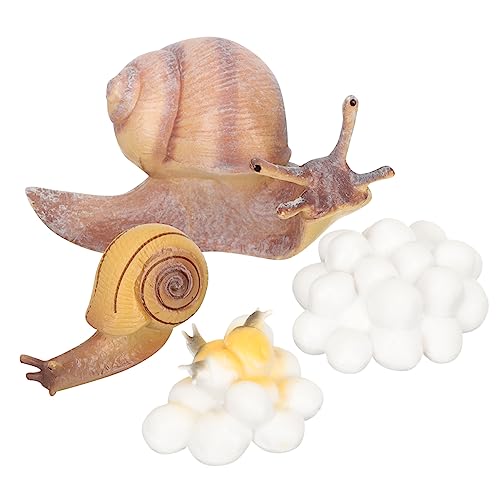 GARIOUANS 1Satz Kognitives Tiermodell Spielzeugset Teiliges Wachstumszyklus Modell für Pädagogisches Lernspielzeug Fantasie und zu Geburtstagen GARIOUANS 1Satz Kognitives Tiermodell Spielzeugset Teiliges Wachstumszyklus Modell für Pädagogisches Lernspielzeug Fantasie und zu Geburtstagen von GARIOUANS
