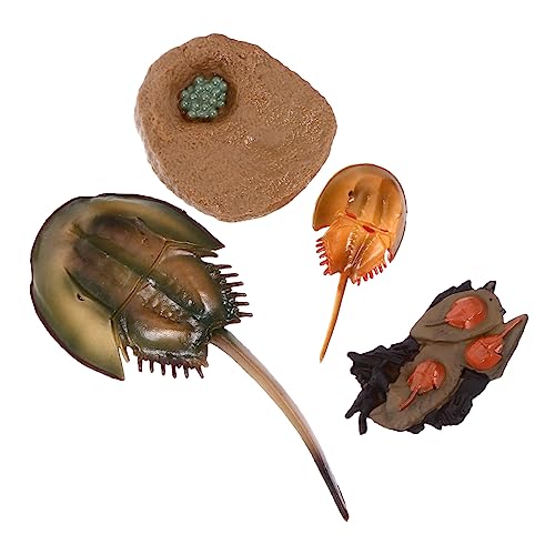 GARIOUANS 1satz Mini Meereslebewesen Modelle Kreatives Spielzeug Für Junge Mädchen Umweltfreundliche Kunststofffiguren Lehrspielzeug Für Marines Dekoration Für Kinderzimmer Und von GARIOUANS