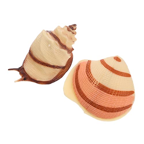 GARIOUANS 2 Stück Kreatives Meerestier Modell Realistisches Muschelshell Modell für Dekoration für Aquarien und Lernspielzeug Tierartenkenntnis von GARIOUANS