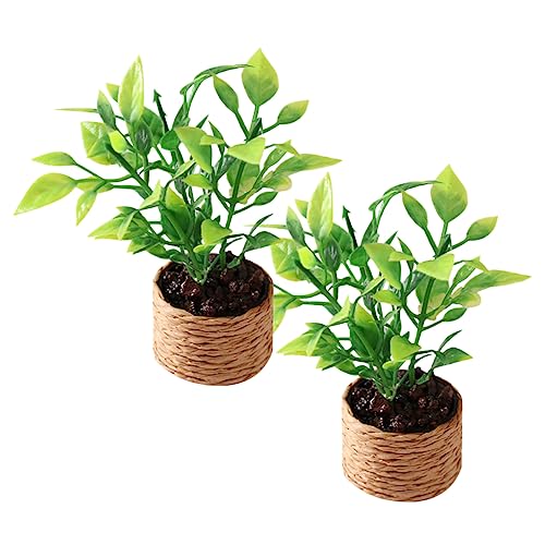 GARIOUANS 2 Stück Mini-Orangenbaum Miniaturpuppenhauspflanzen Gartenzubehör Kleine Pflanzen Mini-Bonsai-Figuren-Ornament Miniatur Bonsai kleine Topfpflanzen Miniatur-Topfpflanzen Plastik GARIOUANS 2 Stück Mini-Orangenbaum Miniaturpuppenhauspflanzen Gartenzubehör Kleine Pflanzen Mini-Bonsai-Figuren-Ornament Miniatur Bonsai kleine Topfpflanzen Miniatur-Topfpflanzen Plastik von GARIOUANS