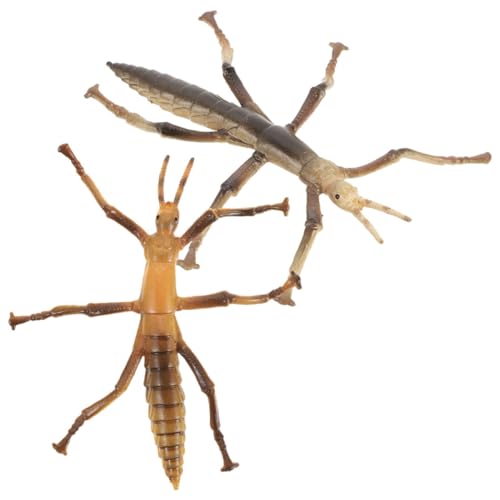 GARIOUANS 2 Stück Teiliges Realistische Stabheuschrecken Figuren Langlebige Geruchsfreie Insektenmodelle zur Insektenerkennung Pädagogisch Geeignet für Naturforscher für Halloween Deko und von GARIOUANS