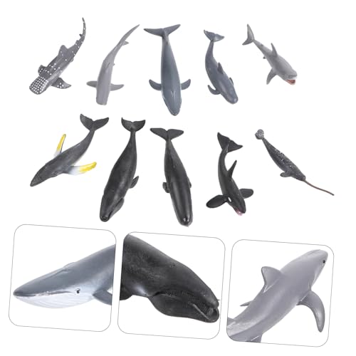 GARIOUANS 24 Stück Teiliges Realistische Meerestier Modelle aus Umweltfreundlichem Kunststoff Miniatur Meeres Tierfiguren als Aquarium Deko Pädagogisches für Fantasieentwicklung GARIOUANS 24 Stück Teiliges Realistische Meerestier Modelle aus Umweltfreundlichem Kunststoff Miniatur Meeres Tierfiguren als Aquarium Deko Pädagogisches für Fantasieentwicklung von GARIOUANS