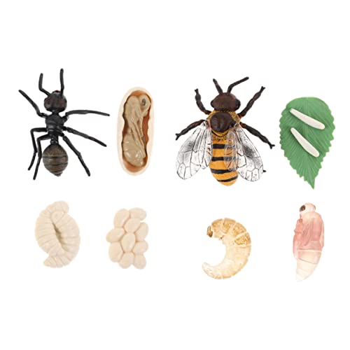 GARIOUANS 2Sätze Lebenszyklus Modelle für Bienen und Ameisenwachstumszyklen Kognitive Spielzeuge für Schule und Lernen Langlebige Realistische Insektenfiguren GARIOUANS 2Sätze Lebenszyklus Modelle für Bienen und Ameisenwachstumszyklen Kognitive Spielzeuge für Schule und Lernen Langlebige Realistische Insektenfiguren von GARIOUANS