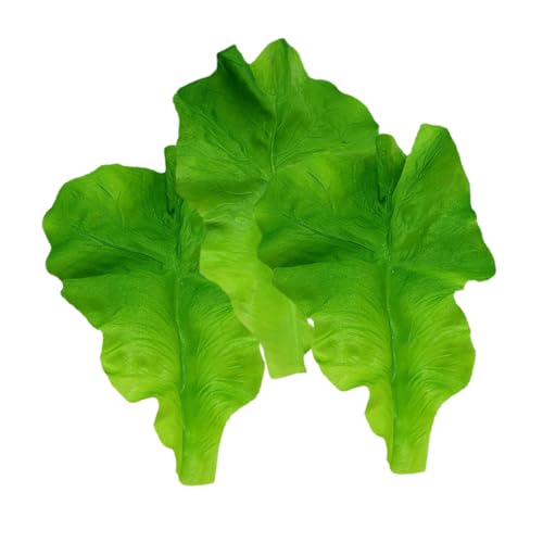 GARIOUANS 3 Stück Salatblattmodell Falsches Salatblatt Künstliche Pflanzliche Blattdekore Gemüseblattmodell Requisiten Aus Restaurantsalatblättern Simuliertes Salatblattdekor Green Plastik GARIOUANS 3 Stück Salatblattmodell Falsches Salatblatt Künstliche Pflanzliche Blattdekore Gemüseblattmodell Requisiten Aus Restaurantsalatblättern Simuliertes Salatblattdekor Green Plastik von GARIOUANS