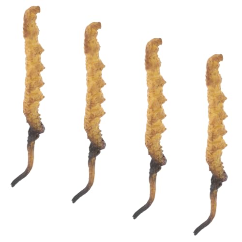 GARIOUANS 4 Stück Cordyceps Modell Cordyceps Modell Cordyceps Lebenszyklus Modell Arzt Requisiten Medizinladen Zubehör Cordyceps Host Modell Arzt Werkzeuge Aus Kunststoff GARIOUANS 4 Stück Cordyceps Modell Cordyceps Modell Cordyceps Lebenszyklus Modell Arzt Requisiten Medizinladen Zubehör Cordyceps Host Modell Arzt Werkzeuge Aus Kunststoff von GARIOUANS