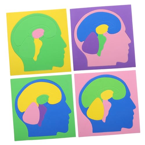 GARIOUANS 4 Stück Gehirnrätsel Für Modellspielzeug des Menschlichen Gehirns Puzzle Für Im Vorschulalter Montessori Lernspielzeug Puzzle Für Kleinkinder Montessori-rätsel Eva GARIOUANS 4 Stück Gehirnrätsel Für Modellspielzeug des Menschlichen Gehirns Puzzle Für Im Vorschulalter Montessori Lernspielzeug Puzzle Für Kleinkinder Montessori-rätsel Eva von GARIOUANS