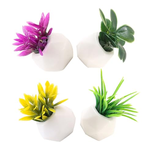 GARIOUANS 4 Stück Puppenhausdekoration Anlage Gefälscht Klein Winzig Mini Pflanzen Puppenhauszubehör Minature Dinge Künstlicher Blumentopf Puppenhaus Saftig Simulation Saftig Harz GARIOUANS 4 Stück Puppenhausdekoration Anlage Gefälscht Klein Winzig Mini Pflanzen Puppenhauszubehör Minature Dinge Künstlicher Blumentopf Puppenhaus Saftig Simulation Saftig Harz von GARIOUANS