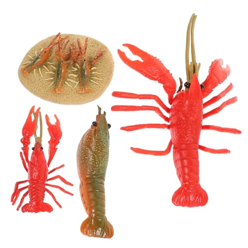 GARIOUANS 4 Stück Teiliges Hummer Modell Lernspielzeug Tier Wachstumszyklus Figuren Kunststoff Lobster Kognitives Tiermodell für Klassenzimmer Dekoration GARIOUANS 4 Stück Teiliges Hummer Modell Lernspielzeug Tier Wachstumszyklus Figuren Kunststoff Lobster Kognitives Tiermodell für Klassenzimmer Dekoration von GARIOUANS