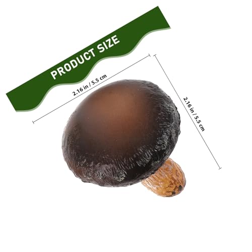 GARIOUANS 4 Stück Teiliges Pilzwachstumszyklus Lernspielzeug Realistische Pilzmodelle Pädagogisches Biologisches Lernspielzeug für Natur Lebenszykluskenntnisse GARIOUANS 4 Stück Teiliges Pilzwachstumszyklus Lernspielzeug Realistische Pilzmodelle Pädagogisches Biologisches Lernspielzeug für Natur Lebenszykluskenntnisse von GARIOUANS