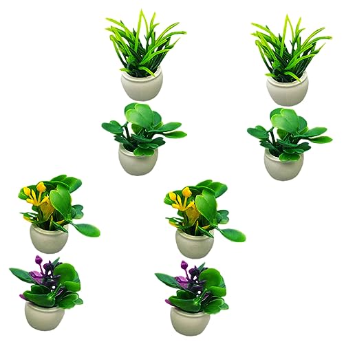 GARIOUANS 8 Stück Mini-Pflanzenmodell Töpfe drinnen Kleine Pflanzentöpfe kleine Topfpflanzen Miniaturhausdekorationen Miniatur -Szenenzubehör Minipflanzen eingetopft Tischminiaturen Plastik GARIOUANS 8 Stück Mini-Pflanzenmodell Töpfe drinnen Kleine Pflanzentöpfe kleine Topfpflanzen Miniaturhausdekorationen Miniatur -Szenenzubehör Minipflanzen eingetopft Tischminiaturen Plastik von GARIOUANS