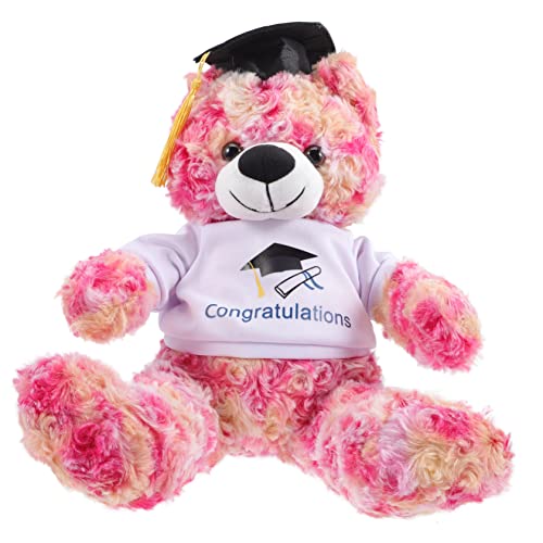 GARIOUANS Abschlussbär Plüschspielzeug Doktorbär Kuscheltier für Graduierungsgeschenke und Dekoration Schlafzimmer Wohnzimmer Party und Mehr GARIOUANS Abschlussbär Plüschspielzeug Doktorbär Kuscheltier für Graduierungsgeschenke und Dekoration Schlafzimmer Wohnzimmer Party und Mehr von GARIOUANS