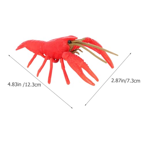 GARIOUANS Crayfish Figurine Lebenszyklus Lernspielzeug Kunststoffmodelle für Naturerfahrung Bildungsset Meeresbewohner Simulation GARIOUANS Crayfish Figurine Lebenszyklus Lernspielzeug Kunststoffmodelle für Naturerfahrung Bildungsset Meeresbewohner Simulation von GARIOUANS