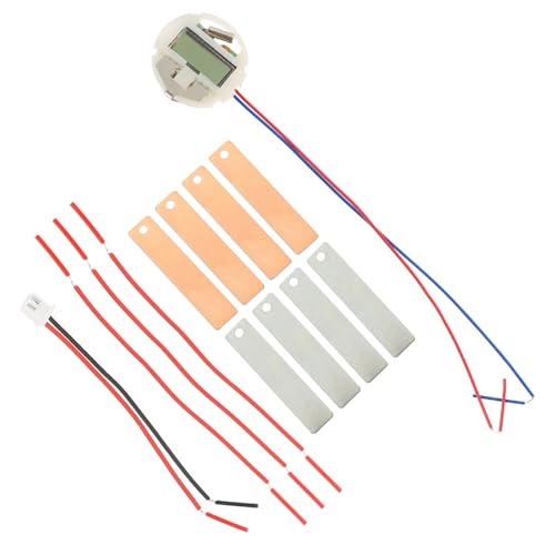 GARIOUANS DIY Obstbatterie Experimentierset für Schüler Wissenschaftliches Lernspielzeug mit Metall Kupfer elektroden Kreatives Stem Experiment Handlungsorientiertes Energie Kit von GARIOUANS