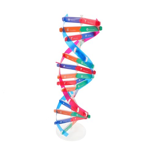 GARIOUANS DNA Modell Doppelhelix Bausatz Pädagogisches Biologie Lehrmittel Interaktives Wissenschaftsspielzeug für Schüler Anschauliches Lernmodell für Experimente und Schulunterricht GARIOUANS DNA Modell Doppelhelix Bausatz Pädagogisches Biologie Lehrmittel Interaktives Wissenschaftsspielzeug für Schüler Anschauliches Lernmodell für Experimente und Schulunterricht von GARIOUANS