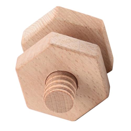 GARIOUANS Holz Schraubspielzeug aus Sicherem Holz Montessori Konstruktionsspielzeug für Hand Auge koordination Formen Farberkennung Robust und Bruchsicher von GARIOUANS
