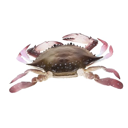 GARIOUANS Künstliche Simuliertes Modell für Aquarien und Lernspielzeug Realistische Dekoration für Terrarien für Meerestiere Fans GARIOUANS Künstliche Simuliertes Modell für Aquarien und Lernspielzeug Realistische Dekoration für Terrarien für Meerestiere Fans von GARIOUANS