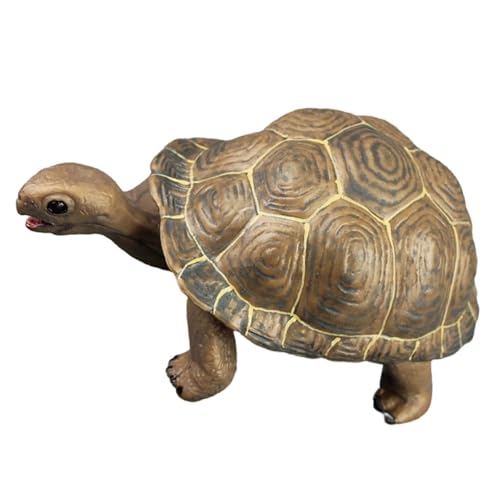 GARIOUANS Lebensechte Schildkrötenfigur aus Realistisches Dekorationsspielzeug für Bildung Geschenkideen und Kreative Gestaltung im Garten oder Zuhause GARIOUANS Lebensechte Schildkrötenfigur aus Realistisches Dekorationsspielzeug für Bildung Geschenkideen und Kreative Gestaltung im Garten oder Zuhause von GARIOUANS