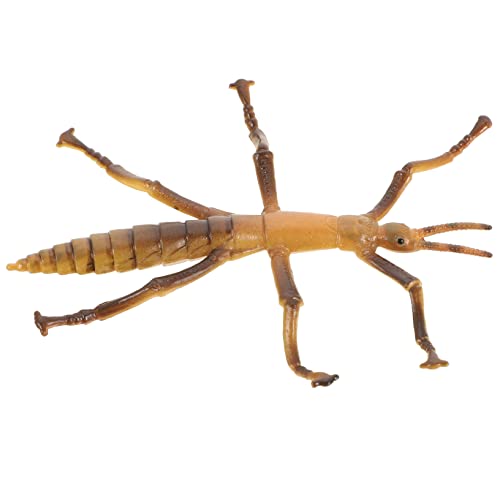 GARIOUANS Lernspielzeug Realistisches Insektenmodell Bambuswurm Pädagogisches für Jungen und Lustiges Kreativität und Partys und Kinderzimmerdekoration GARIOUANS Lernspielzeug Realistisches Insektenmodell Bambuswurm Pädagogisches für Jungen und Lustiges Kreativität und Partys und Kinderzimmerdekoration von GARIOUANS