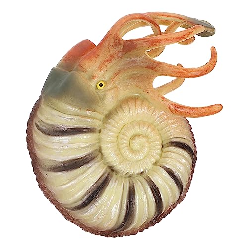 GARIOUANS Meerestiere Nautilus Modell Meerestier Meerestier Meerestier Für Tierfiguren Mini Meerestiere Meerestier Meerestier Kunststoff GARIOUANS Meerestiere Nautilus Modell Meerestier Meerestier Meerestier Für Tierfiguren Mini Meerestiere Meerestier Meerestier Kunststoff von GARIOUANS