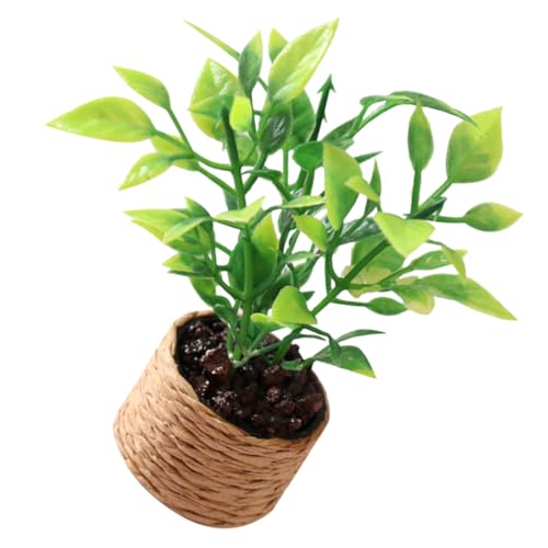 GARIOUANS Miniatur Orangenbaum Modell Miniatur Blumentopf Dekoration Künstliche Kleine Topfpflanze für Puppenhaus Zubehör Micro Landschaftsdeko GARIOUANS Miniatur Orangenbaum Modell Miniatur Blumentopf Dekoration Künstliche Kleine Topfpflanze für Puppenhaus Zubehör Micro Landschaftsdeko von GARIOUANS