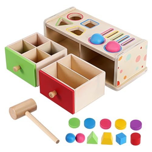 GARIOUANS Holzspielzeug Für Kleinkinder Formensortierer Mit Farberkennung Lernspielzeug Für Junge Mädchen Geometrisches Formsortierspiel Farb Und Formsortierbox Für Kleinkinder von GARIOUANS