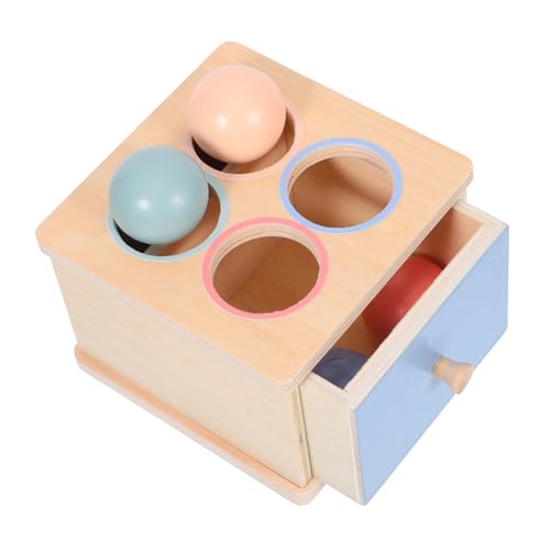 GARIOUANS Montessori Holzspielzeug Farbsortier Spiel Ab Jahr Pädagogisches Lernspielzeug für Kleinkinder Sicher mit Glatten Kanten Fördert Hand Augen koordination und Interaktives zu Hause von GARIOUANS