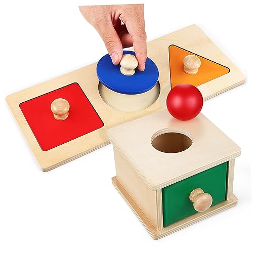 GARIOUANS Montessori Holzspielzeug mit Kugelwurfbox und Farbigen Geometrieeinlagen Nachhaltiges Holzspielzeug für Motorikfördernd Sicher und Langlebig für Vorschulkinder GARIOUANS Montessori Holzspielzeug mit Kugelwurfbox und Farbigen Geometrieeinlagen Nachhaltiges Holzspielzeug für Motorikfördernd Sicher und Langlebig für Vorschulkinder von GARIOUANS