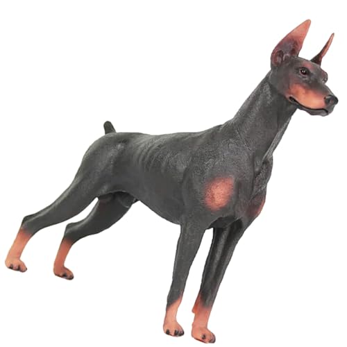 GARIOUANS Realistische Dobermann Hund Figur aus Robustem Kunststoff Detailgetreue Simulation Pädagogisches Wildtier für Leicht Tragbar als Dekoration und Lernhilfe von GARIOUANS